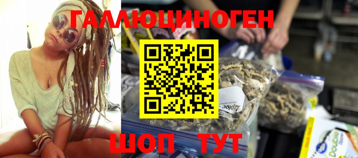 Острогожск  Псилоцибиновые грибы мухоморы  купить наркоту  Вход с VPN 